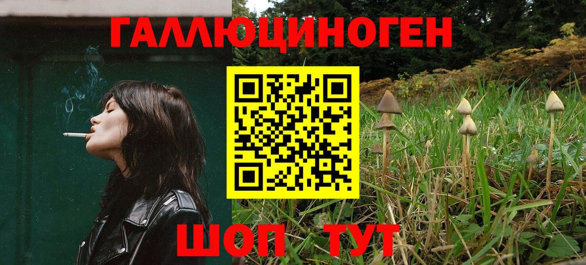 Псилоцибиновые грибы ЛСД  Вход с VPN  Зеленодольск 